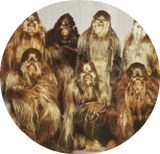 Wookie: семейство Чубакки